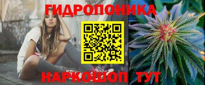 шишки Мариинск