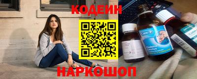 гашик Моздок